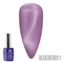 Fruit Cat-Eyes 11D Gel Polish | Magnetic Nail Polish | Blueberry 1