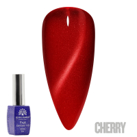 Fruit Cat-Eyes 11D Gel Polish | Magnetic Nail Polish | Cherry