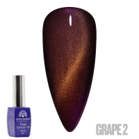 Fruit Cat-Eyes 11D Gel Polish | Magnetic Nail Polish | Grape 2