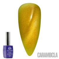 Fruit Cat-Eyes 11D Gel Polish | Magnetic Nail Polish | Carambola