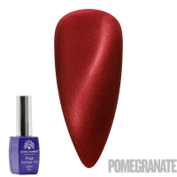 Fruit Cat-Eyes 11D Gel Polish | Magnetic Nail Polish | Pomegranate