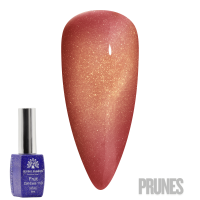 Fruit Cat-Eyes 11D Gel Polish | Magnetic Nail Polish | Prunes