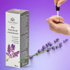 Global Fashion Cuticle Oil – Natural Blend of Olive, Coconut, Lavender, Rosemary & Jojoba Oils

