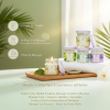 Global Fashion Massage Candle – 30 ml Aromatherapy Spa Candle in 21 Scents