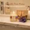Global Fashion Massage Candle – 30 ml Aromatherapy Spa Candle in 21 Scents
