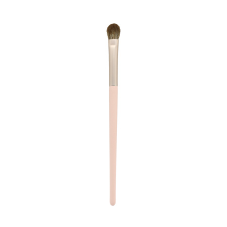 Eyeshadow Brush Beauty Tools