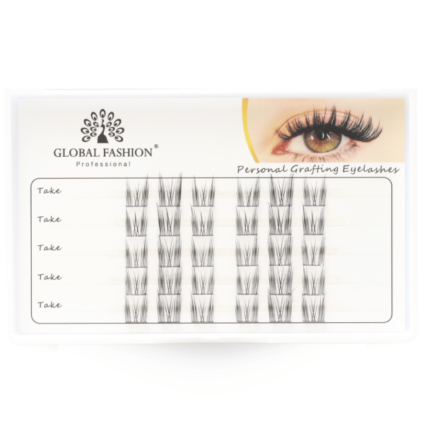 Global Fashion Professional Lash Fans