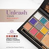 Global Fashion eyeshadow palette close up high pigment texture ظلال عيون لقطة مقربة
