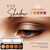 Global Fashion eyeshadow palette close up high pigment texture ظلال عيون لقطة مقربة
