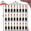 Global Fashion matte lipstick close up high pigment moisturizing finish احمر شفاه مطفي مرطب لقطة مقربة