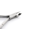 Global Fashion Nail Clippers & Cutters | Detailed Stainless Steel Tools
قصافات ومقصات أظافر جلوبال فاشن | أدوات ستانلس ستيل تفصيلية
