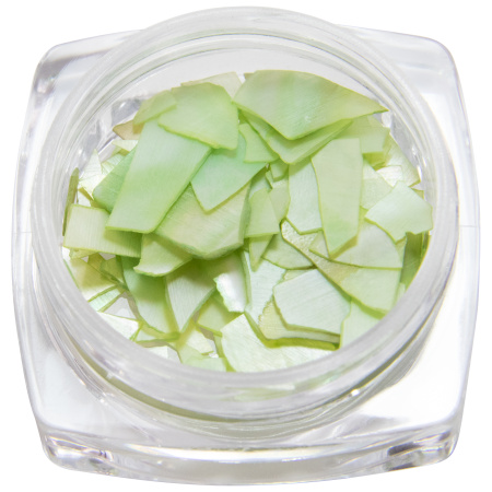 Nail decor, small shells, green, 1 pc