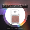 Global Fashion eyeshadow close up high pigment texture ظلال عيون لقطة مقربة