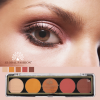 Global Fashion eyeshadow palette close up high pigment texture ظلال عيون لقطة مقربة
