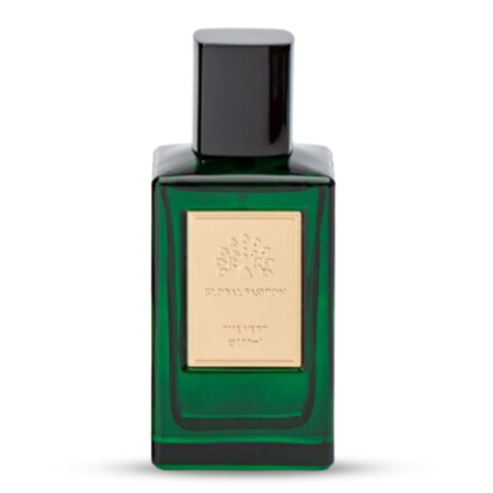 The Vert Eau de Parfum Men 50ml Men's Perfume Close Up - Luxury Aquatic Eau de Parfum Spray | عطر رجالي صورة مقربة